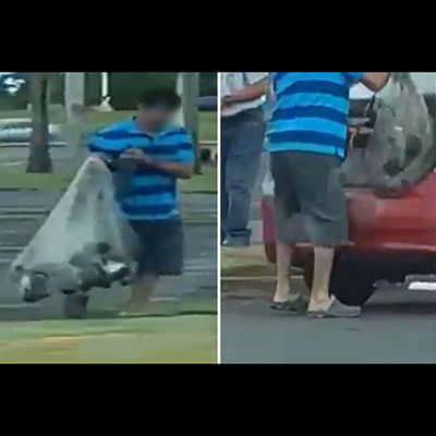記事紹介