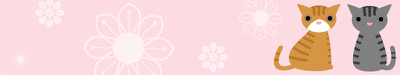 hd-bn00101