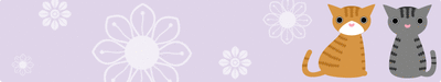 hd-bn00105