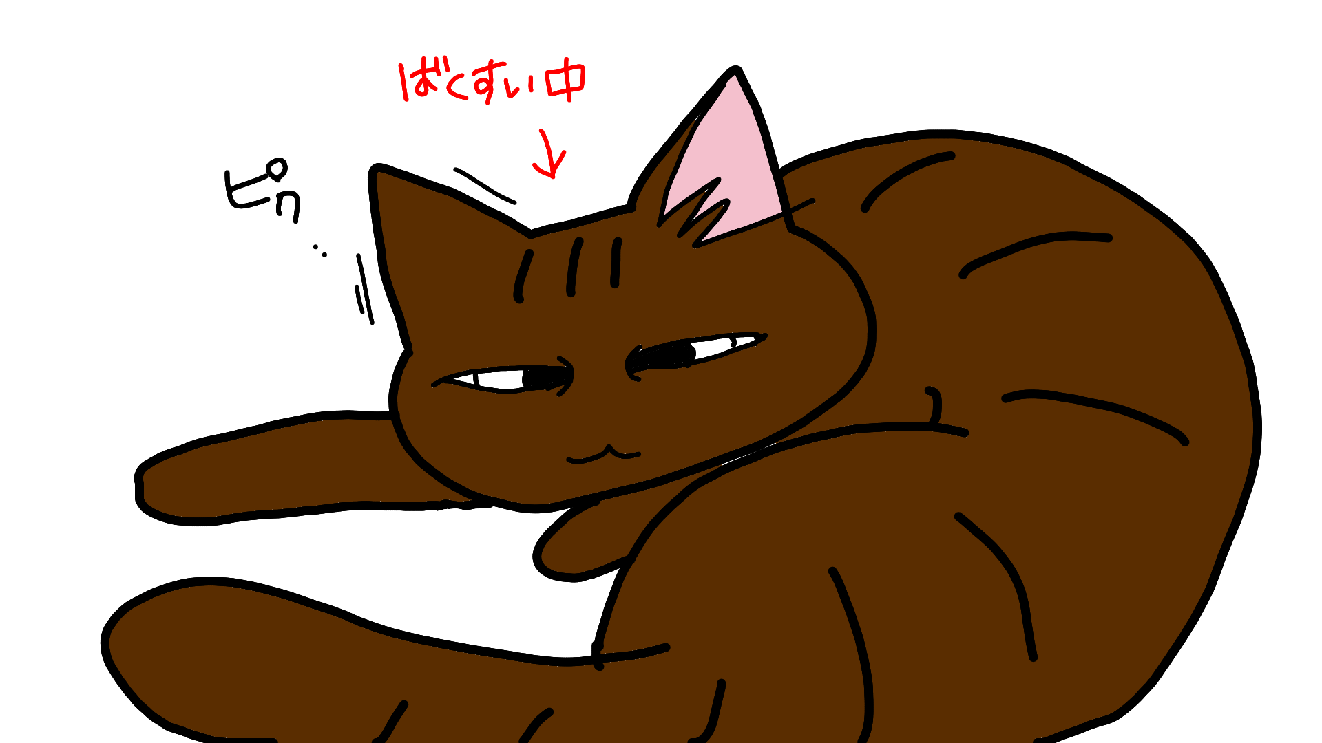 レム睡眠中にリアルな夢をみる猫 寄せ集めだけどちゃんと家族 レム睡眠中にリアルな夢をみる猫 寄せ集めだけどちゃんと家族