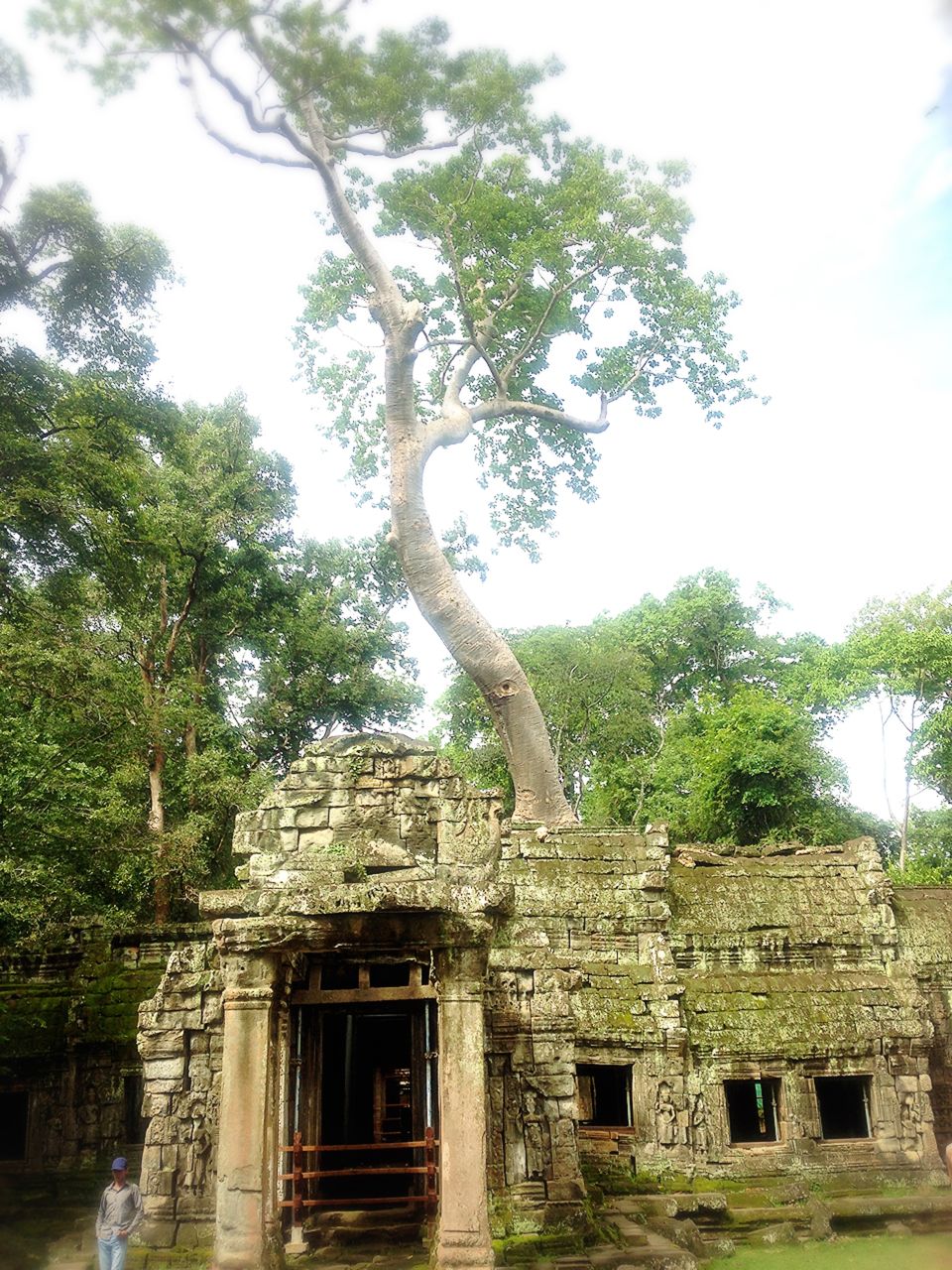 一人旅 女子旅 パワースポット 癒し旅は リボーンプログラム カンボジア アンコールワット タ プラム寺院 Happy Trip Beauty News