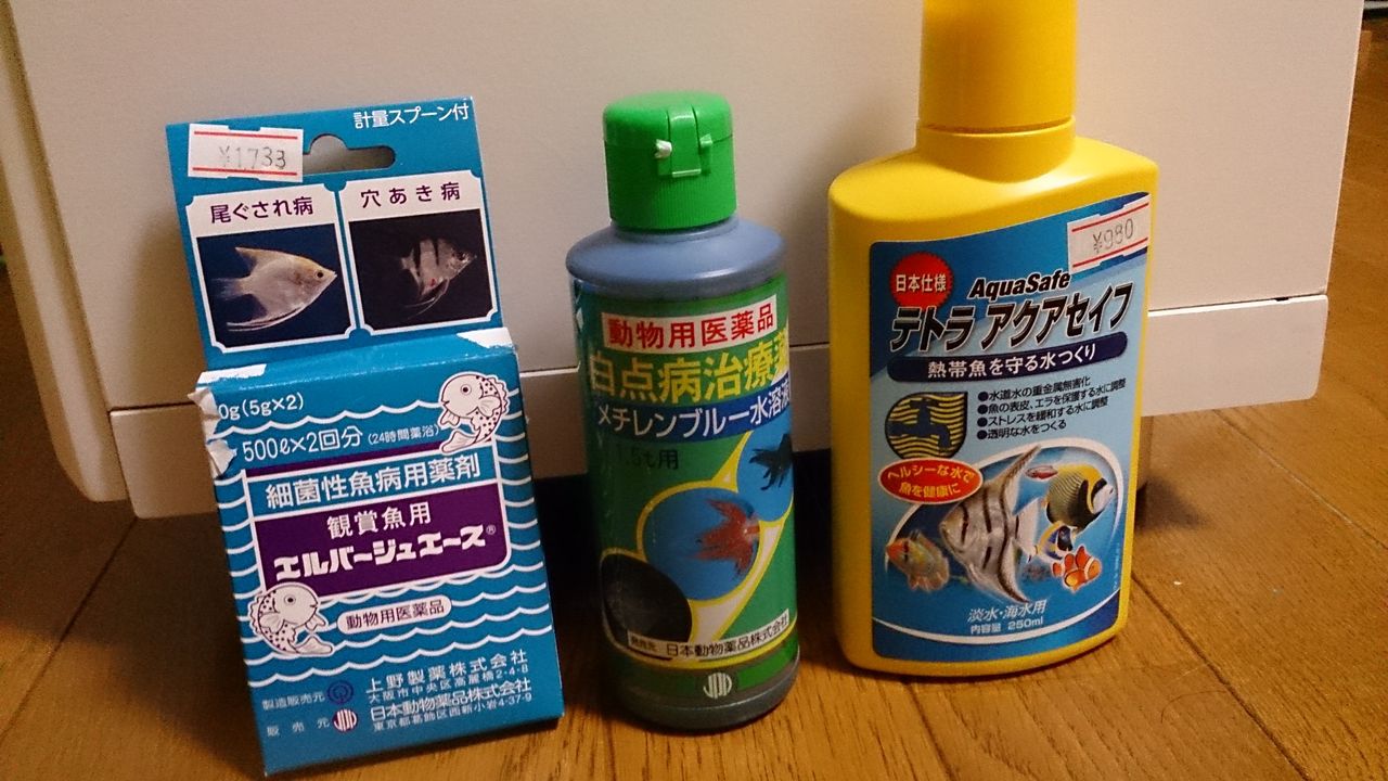 エルバージュ メチレンブルー テトラアクアセイフ 金魚って良いよねぇ