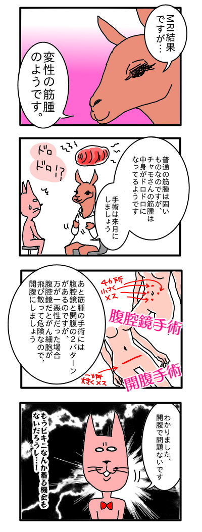 鏡 子宮 ブログ 腹腔 筋腫 手術