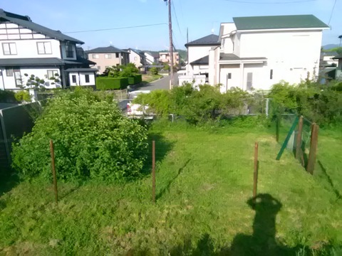 P_20190524_162725