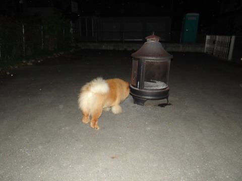 DSC08055