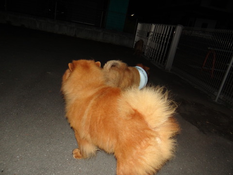 DSC08073