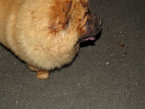 DSC07704