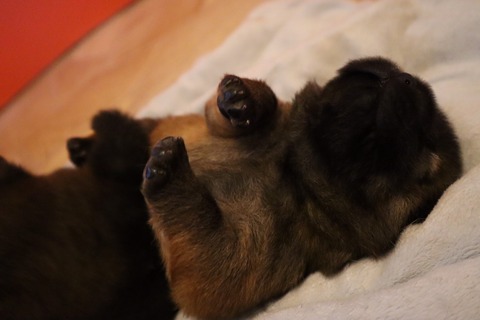 line_187353677313017