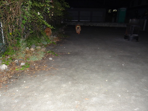 DSC08059
