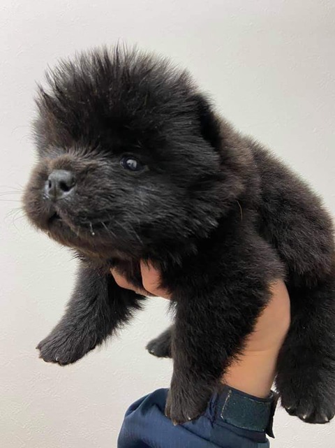 FB_IMG_1582240183531