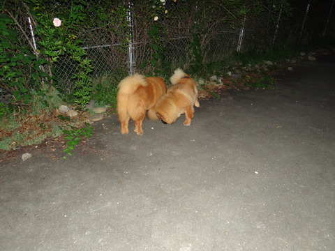 DSC08046