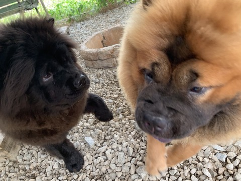 S__17416228