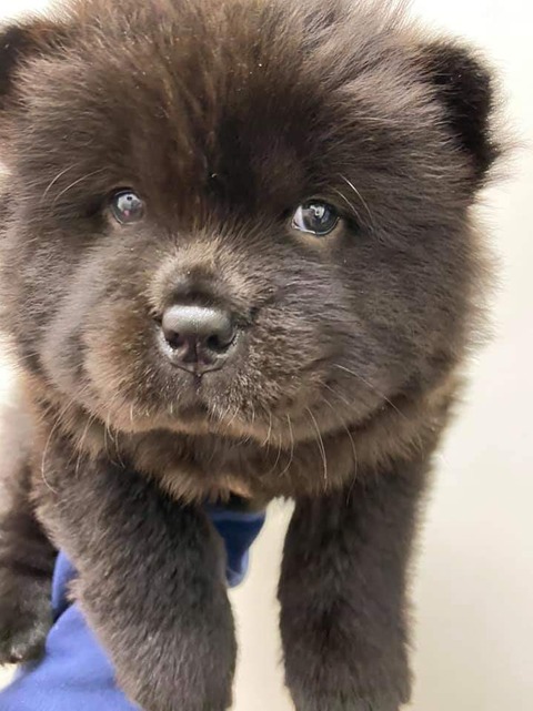 FB_IMG_1583157902332