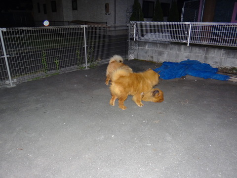 DSC08037