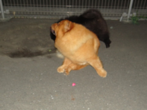 DSC07661