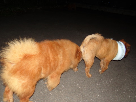 DSC08070