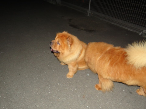 DSC07683