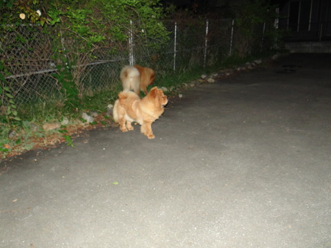 DSC08058