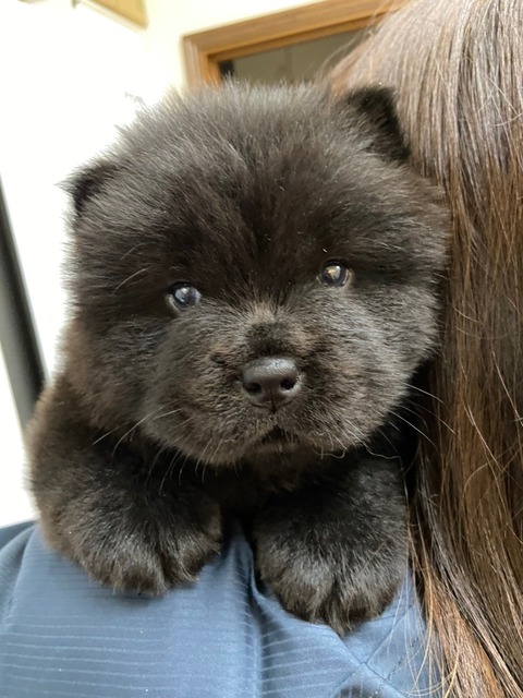 line_465212044085907