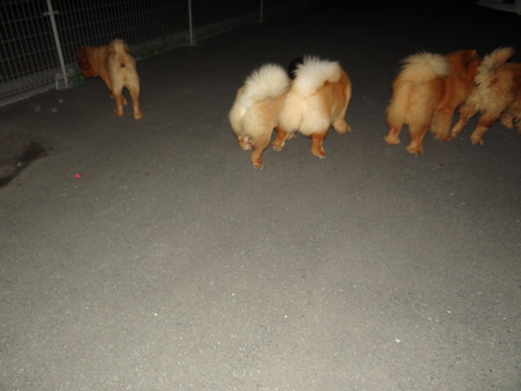 DSC07652