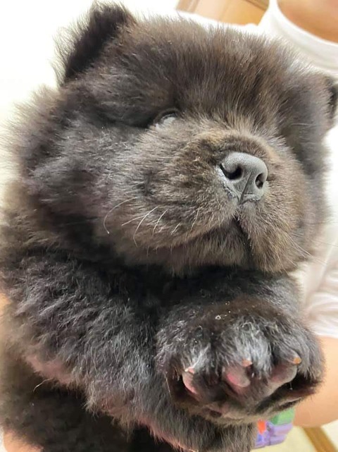 FB_IMG_1583157960990