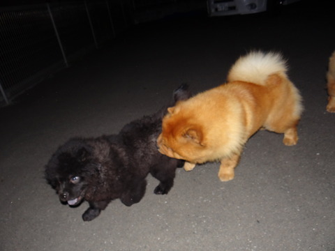 DSC07657