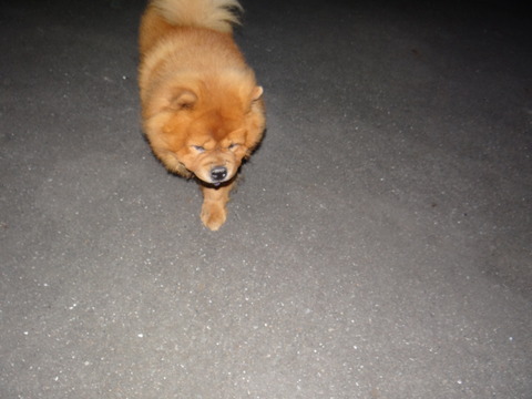 DSC08049