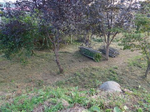 DSC08187