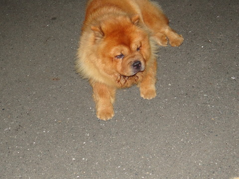 DSC07702