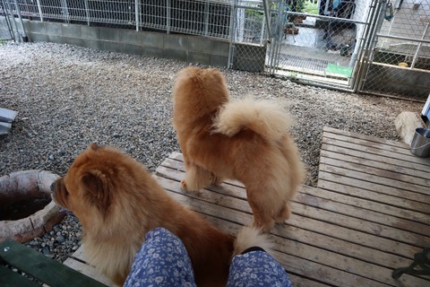 2020_24.07.07_200708