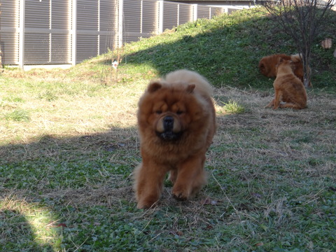 DSC07075
