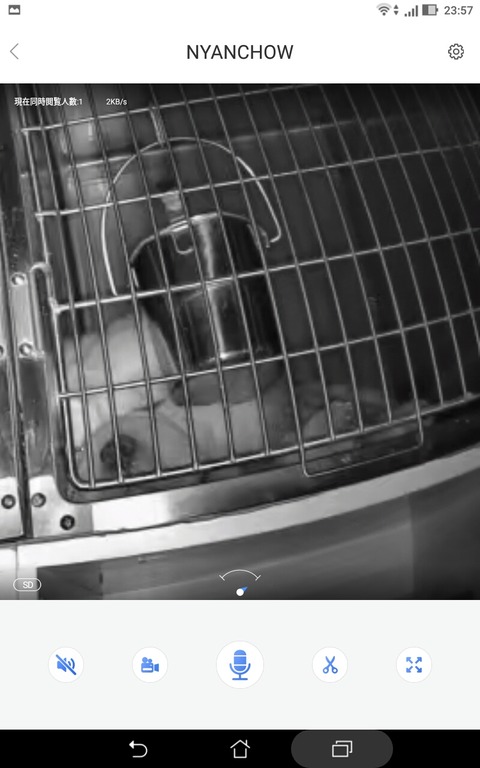 Screenshot_20200526-235711