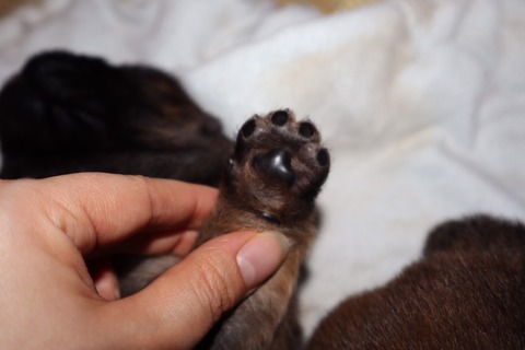 line_187485472725258