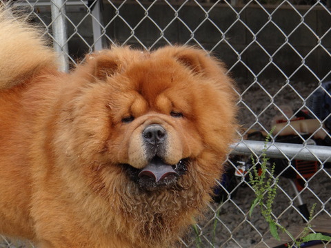 DSC06020