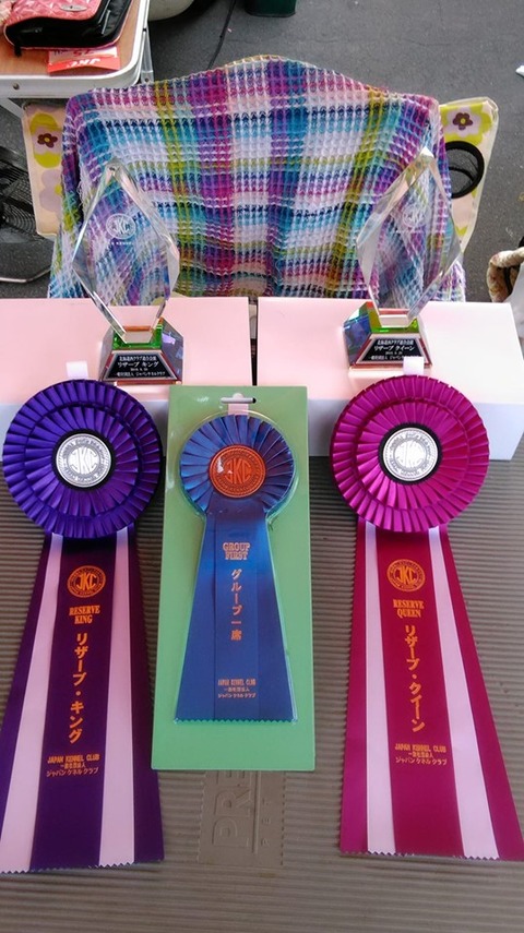 71665526_2706793539354721_2081169391604465664_n