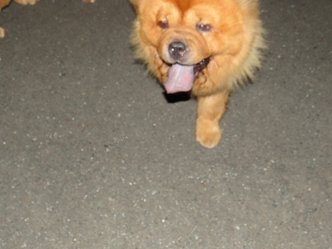 DSC07695
