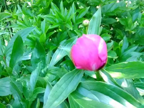 P_20190524_093405