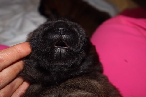 line_187532260246021