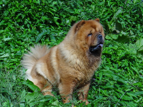 DSC08307