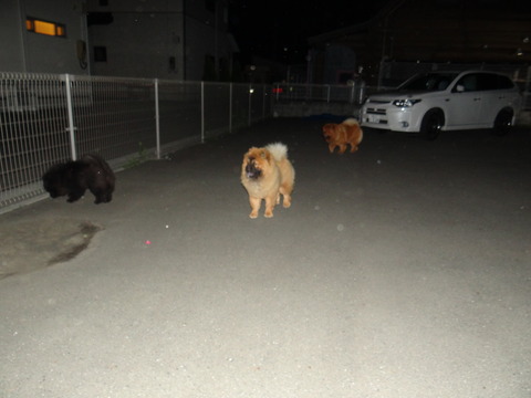 DSC07640