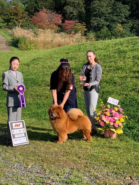 71143507_2708900219144053_5343061980489973760_n