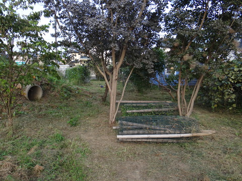 DSC08192