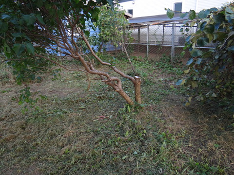 DSC08193