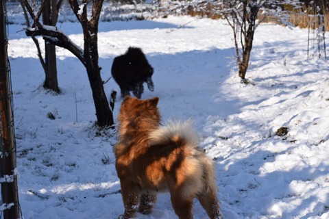 line_191449746336424