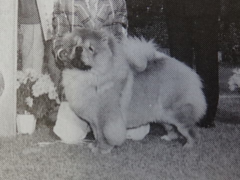 DSC07717