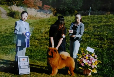 71698334_2723591054341636_5427033878231515136_o