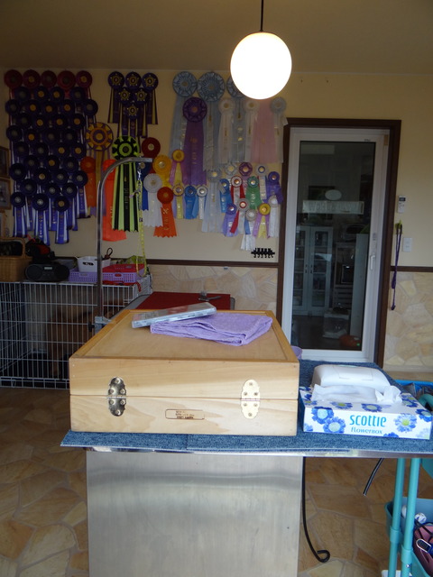 DSC07790