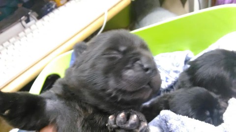 84331671_2981674601866612_3074889420759891968_n
