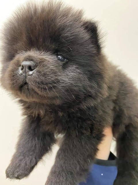 FB_IMG_1583157985808