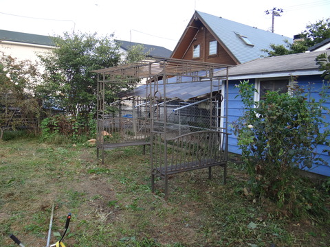 DSC08194
